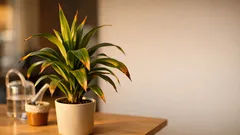 Why your houseplant leaves are turning brown or yellow and how to fix it fast